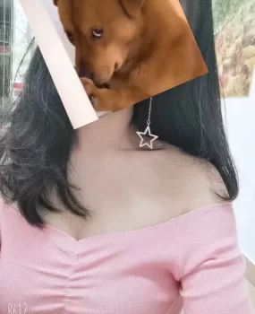 韶关站街女